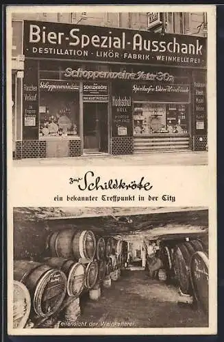 AK Berlin, Gasthaus zur Schildkröte, Weinkellerei, Dorotheenstr. 70