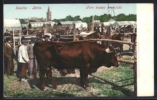 AK Sevilla-Feria, Toro manso premiado