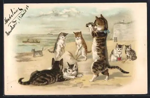 Lithographie Katzen spielen am Strand