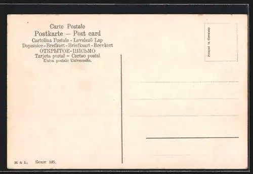 AK Der Ochse bremst den Autofahrer auf dem Feldweg