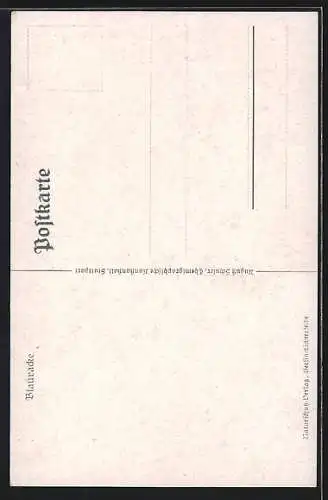 AK Blauracke auf einem Zweig