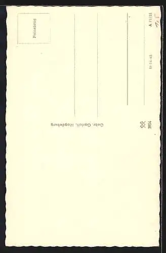 AK weisser Zwerg-Pudel