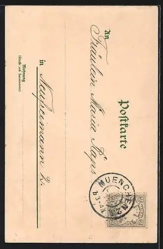 AK Geissbock auf einem Fels