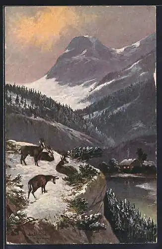 Künstler-AK Alfred Schönian: Gemsenrudel ruht auf einem Felsvorsprung überm See
