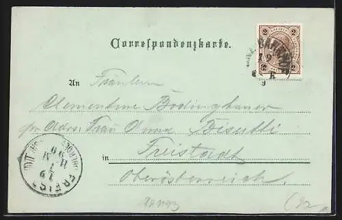 Lithographie Linz, Volksgarten, Franz Josef-Platz mit Domkirche, Brücke und Urfahr