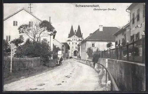 AK Schwanenstadt, Partie in der Salzburger-Strasse