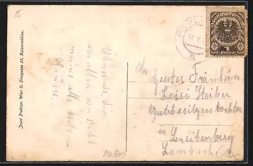 Künstler-AK Pichl b. Wels, Gesamtansicht