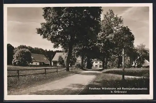 AK Wörnbrunn /Grünwald, Weg zum Restaurant Forsthaus