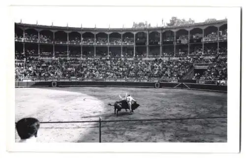 17 Fotografien Ansicht Madrid, Stierkamf Arena, Las Ventas, Torero, Stier