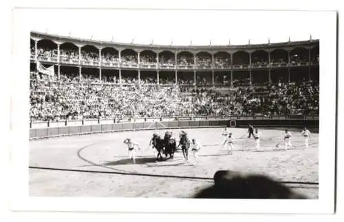 17 Fotografien Ansicht Madrid, Stierkamf Arena, Las Ventas, Torero, Stier