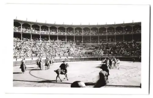 17 Fotografien Ansicht Madrid, Stierkamf Arena, Las Ventas, Torero, Stier