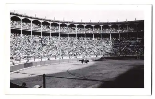 17 Fotografien Ansicht Madrid, Stierkamf Arena, Las Ventas, Torero, Stier