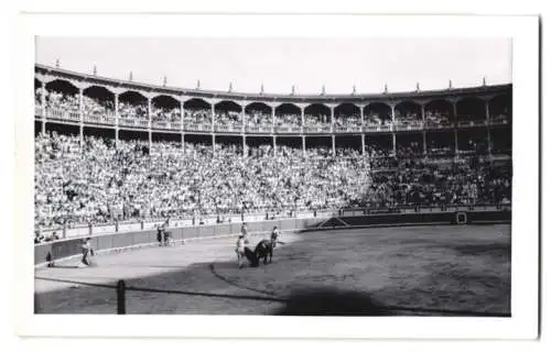 17 Fotografien Ansicht Madrid, Stierkamf Arena, Las Ventas, Torero, Stier