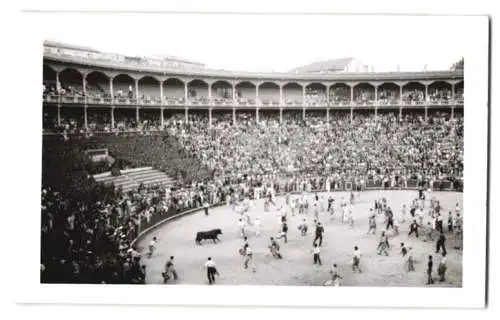 17 Fotografien Ansicht Madrid, Stierkamf Arena, Las Ventas, Torero, Stier