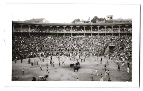 17 Fotografien Ansicht Madrid, Stierkamf Arena, Las Ventas, Torero, Stier