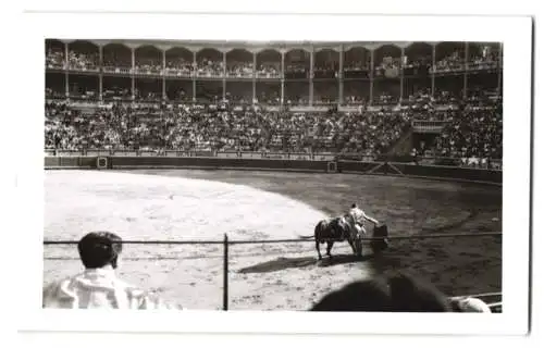 17 Fotografien Ansicht Madrid, Stierkamf Arena, Las Ventas, Torero, Stier