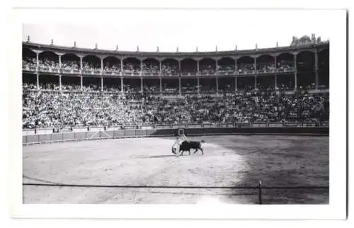 17 Fotografien Ansicht Madrid, Stierkamf Arena, Las Ventas, Torero, Stier