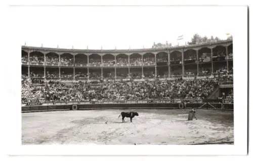 17 Fotografien Ansicht Madrid, Stierkamf Arena, Las Ventas, Torero, Stier