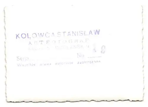 24 Fotografien Ansicht Krakau, Strassenbahn Linie 1, Strassenpartie, Schloss, Marktplatz, Rathaus