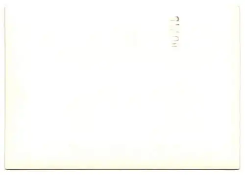 2 Fotografien Auto, VW-Käfer auf Zeltplatz, Kennzeichen PI-T 976, Ersatzrad im Kofferraum