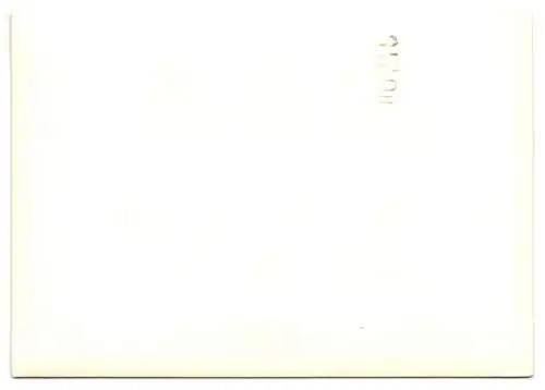 2 Fotografien Auto, VW-Käfer auf Zeltplatz, Kennzeichen PI-T 976, Ersatzrad im Kofferraum