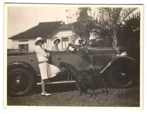 3 Fotografien Auto Phaeton, elegante Damen mit Hunden und offenen Reisewagen, Cabriolet