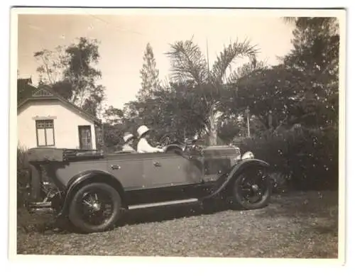 3 Fotografien Auto Phaeton, elegante Damen mit Hunden und offenen Reisewagen, Cabriolet