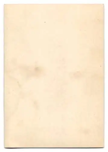 4 Fotografien unbekannter Fotograf, Ansicht Tamm, Dr. Eduard Martz Mitbegründer der Marabuwerke GmbH