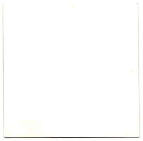 Fotografie Nahaufnahme fossile Kieselalge Diatomeen, Makrofotografie / Mikrofotografie