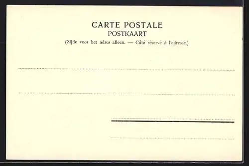 AK Westerloo, Le château