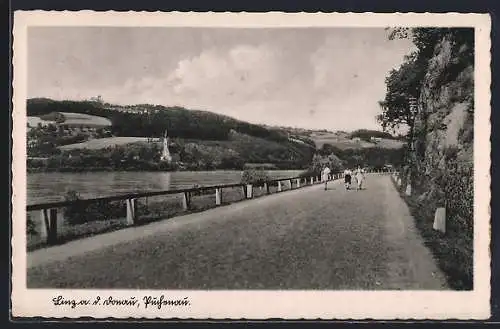 AK Linz a. d. Donau, Puchenau, Uferpartie mit Strasse