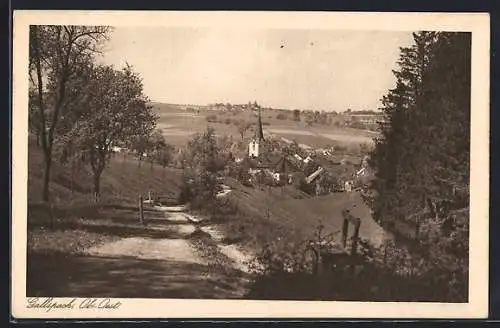 AK Gallspach /Ob.-Oest., Ortspartie mit Kirche