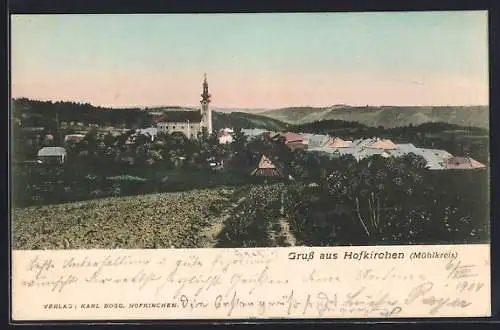 AK Hofkirchen /Mühlkreis, Teilansicht mit Kirche