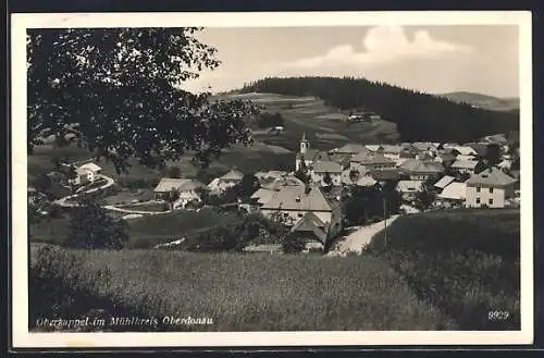 AK Oberkappel im Mühlkreis, Blick von der Bergwiese auf den Ort