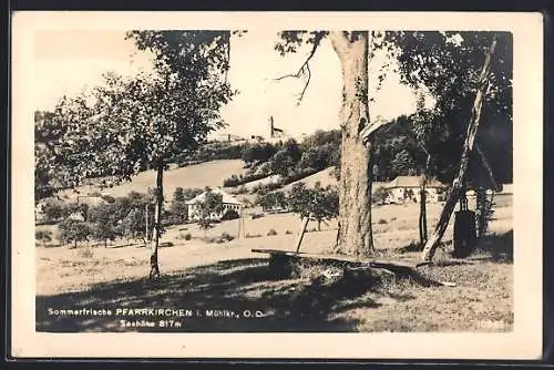 AK Pfarrkirchen i. Mühlkr., Ortspartie mit Bäumen