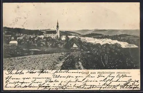 AK Hofkirchen /Mühlkreis, Panorama mit Kirche