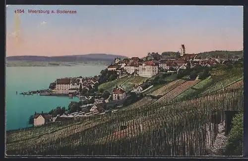 AK Meersburg a. Bodensee, Teilansicht