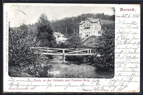 AK Berneck / Fichtelgebirge, Partie an der Oelsnitz und Pension Berg