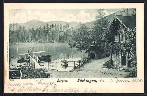 AK Säckingen, Bergsee