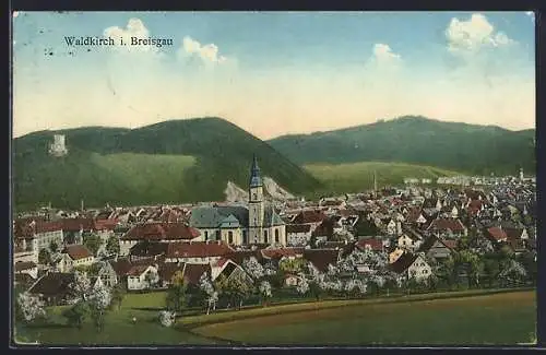 AK Waldkirch / Breisgau, Ort im Frühling