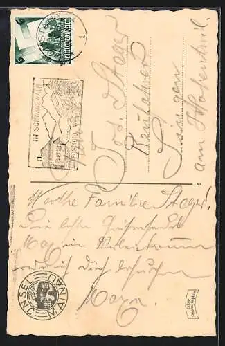 AK Insel Mainau i. B., Palmen-Hain