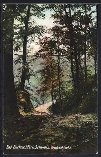 AK Bad Buckow /Märk. Schweiz, Partie an der Wolfsschlucht
