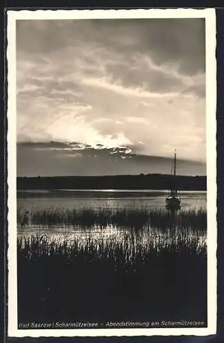 AK Bad Saarow /Scharmützelsee, Abendstimmung am See