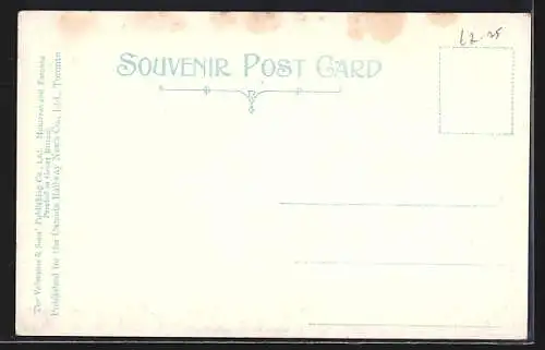 AK Niagara Navigation Co.`s Steamer Cayuga