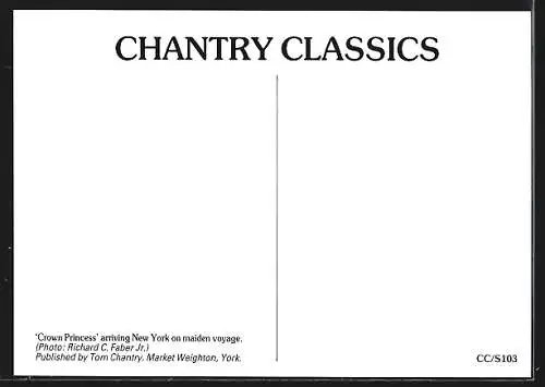 AK New York, Passagierschiff Crown Princess vor der Stadt, Princess Cruises