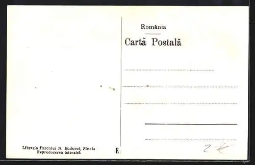 AK Sinaia, Pensiunile Villy Ungarth, Vila Geani si Ghica