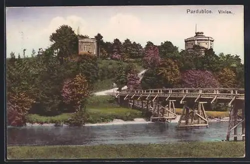 AK Pardubice, Vinice