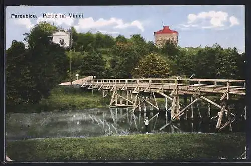 AK Pardubice, Partie na Vinici