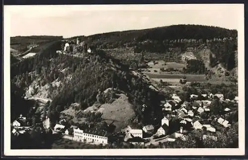 AK Svojanov, Panorama mit Strassenpartie