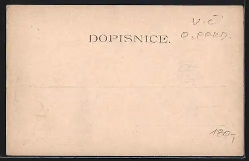 AK Pardubice, Pohled ze zelené brány